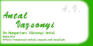 antal vazsonyi business card